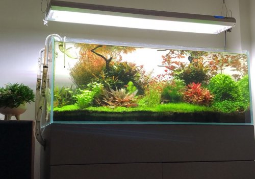 Antracit design szekrény növényes akváriummal
